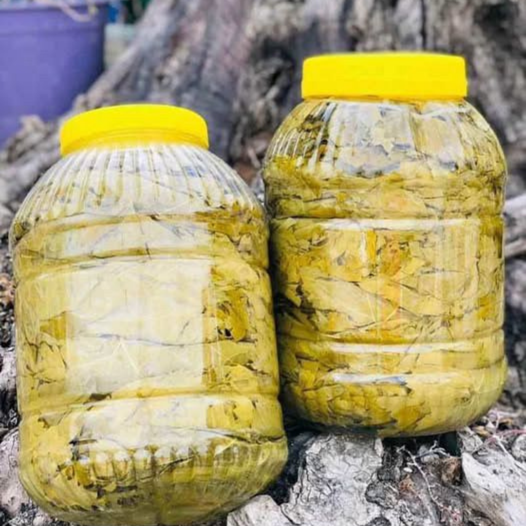 Salamura Asma Yaprak 10'luk Bidon Net 6 kg