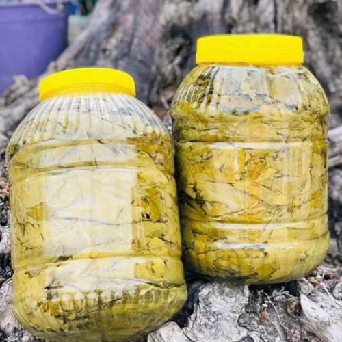 Salamura Asma Yaprak 10'luk Bidon Net 6 kg